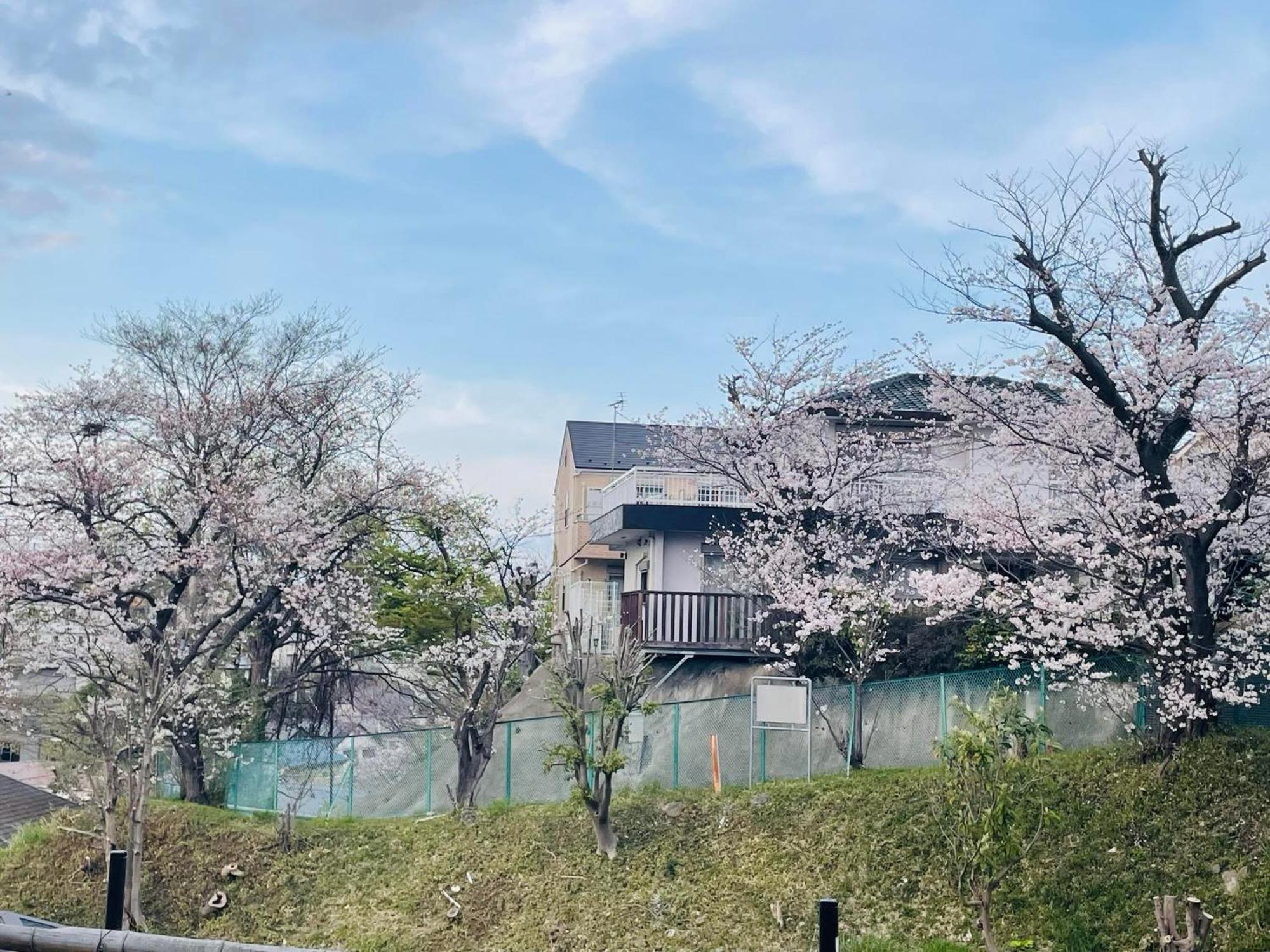 ソフィアハウス横浜 -女性専用シェアハウス- Sopfia House Yokohama For Women Only Shared House Hotel Ngoại thất bức ảnh